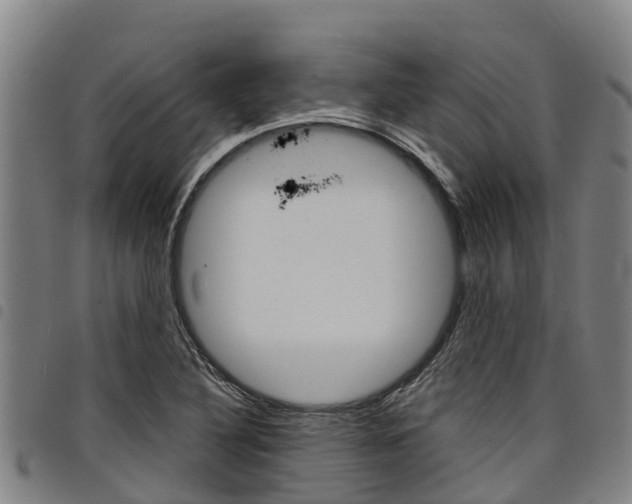 X0000098121316200804040815