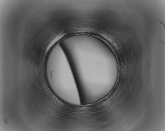 X0000098121317200804040815