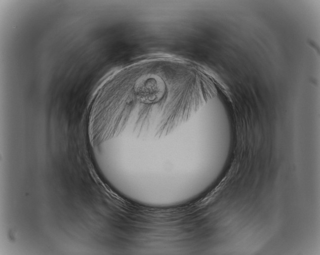 X0000098121318200804040815