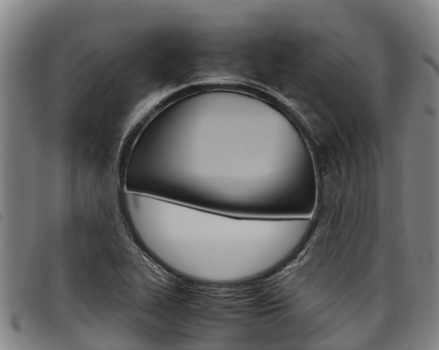 X0000098121319200804040815