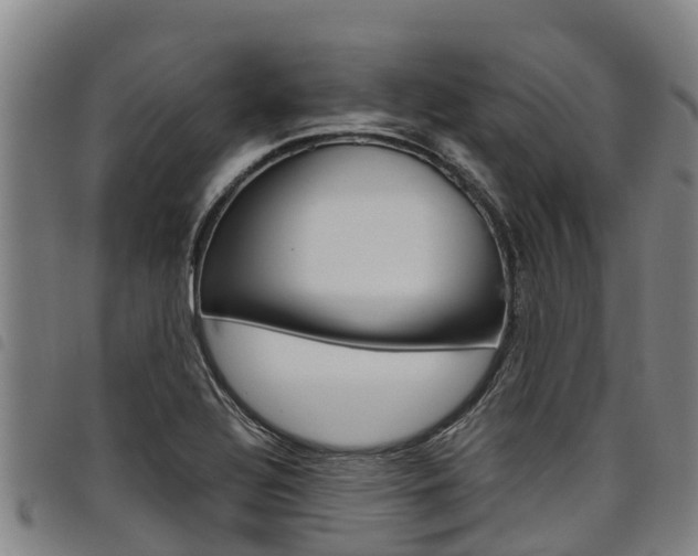 X0000098121320200804040815