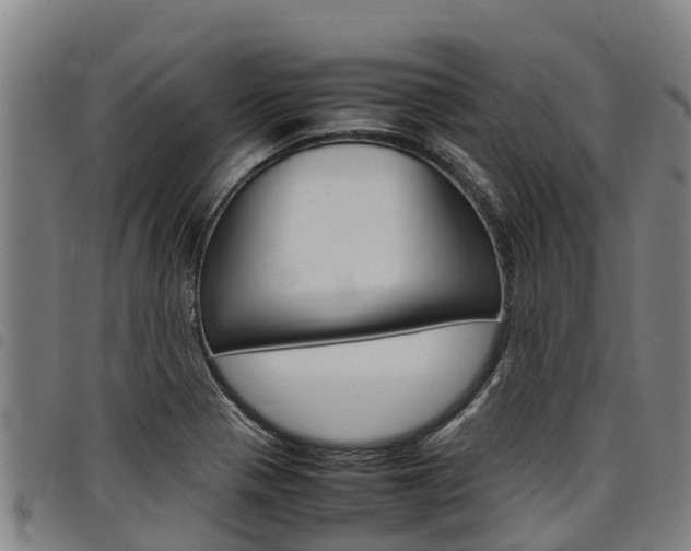 X0000098121321200804040815