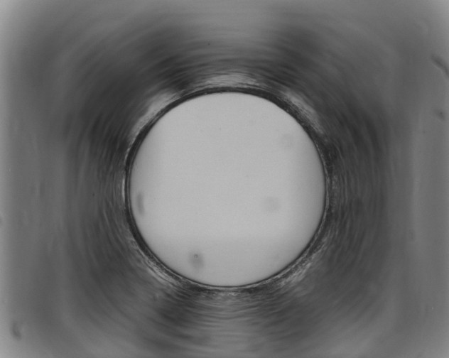 X0000098121322200804040815