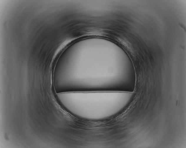 X0000098121323200804040815