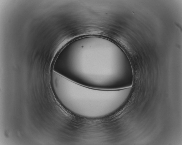 X0000098121324200804040815