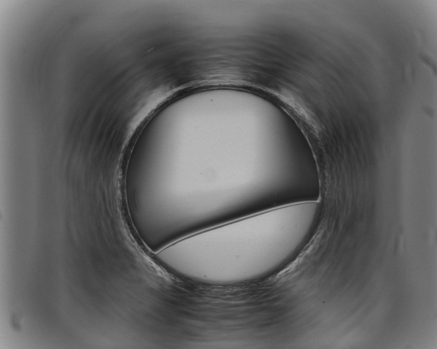 X0000098121325200804040815