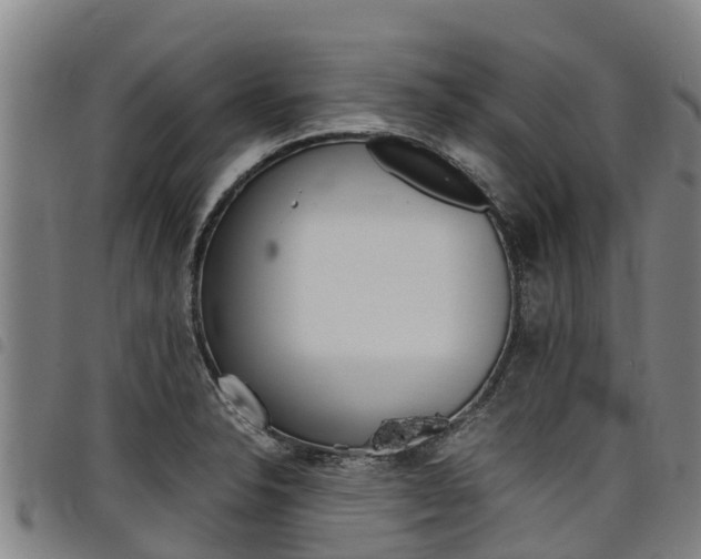 X0000098121326200804040815