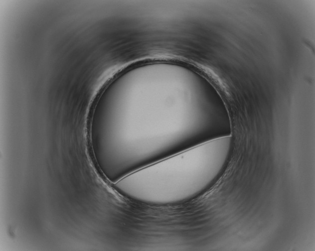 X0000098121327200804040815