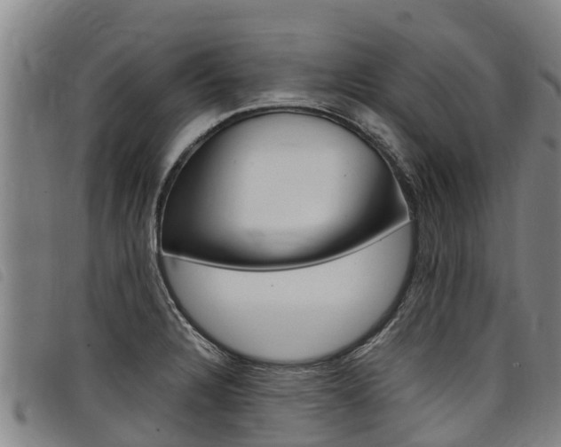 X0000098121328200804040815