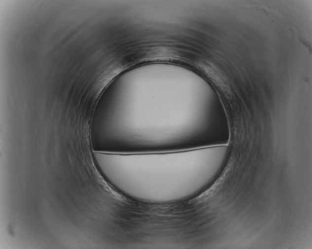X0000098121329200804040815