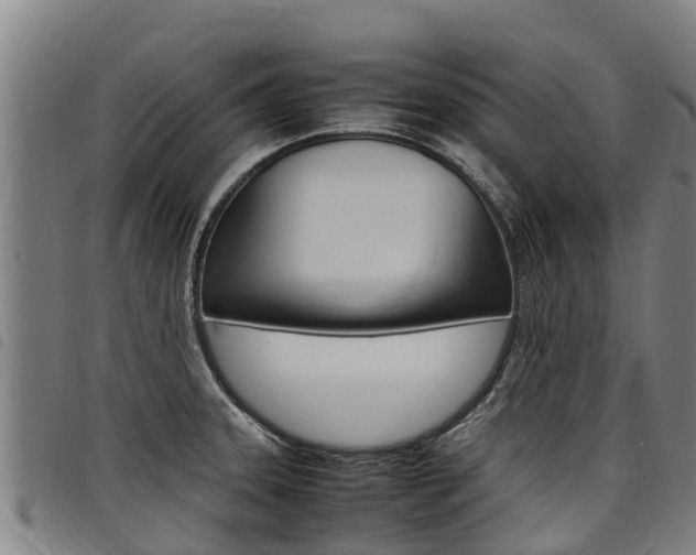 X0000098121331200804040815