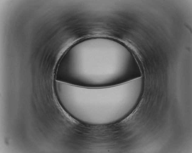 X0000098121333200804040815