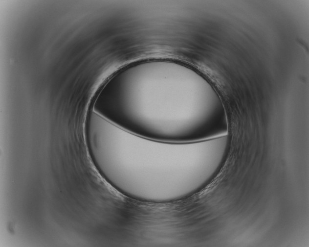 X0000098121334200804040815