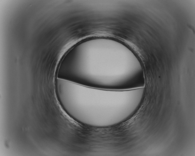 X0000098121335200804040815