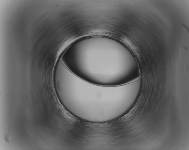 X0000098121336200804040815