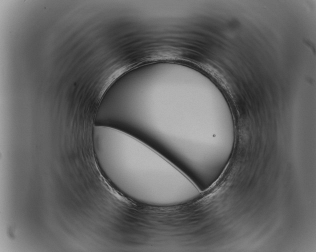 X0000098121337200804040815