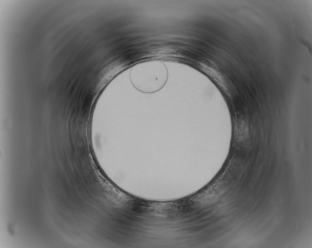 X0000098121338200804040815