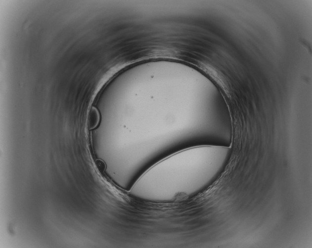 X0000098121339200804040815