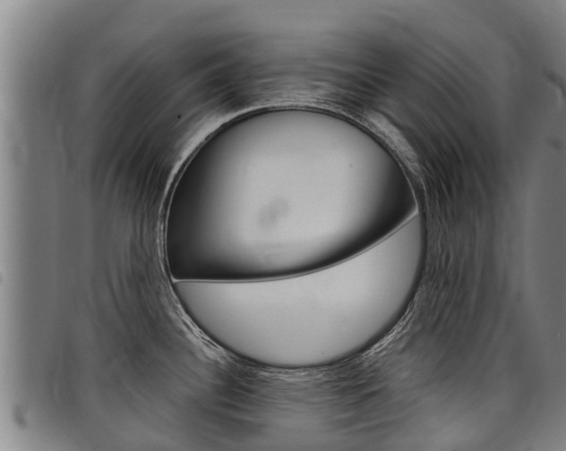 X0000098121340200804040815