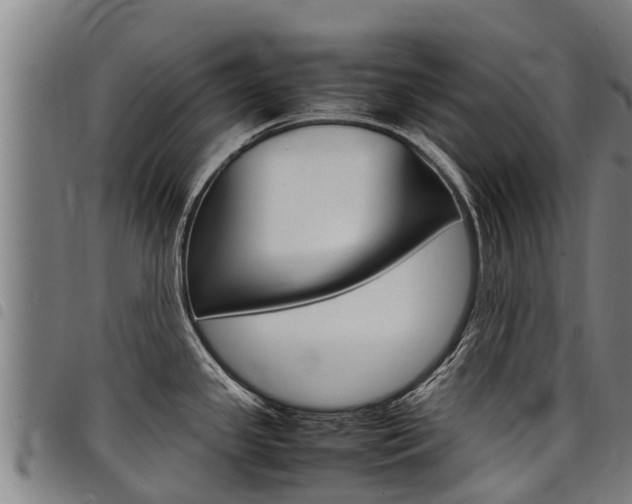 X0000098121341200804040815