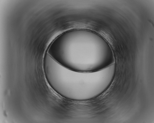 X0000098121342200804040815
