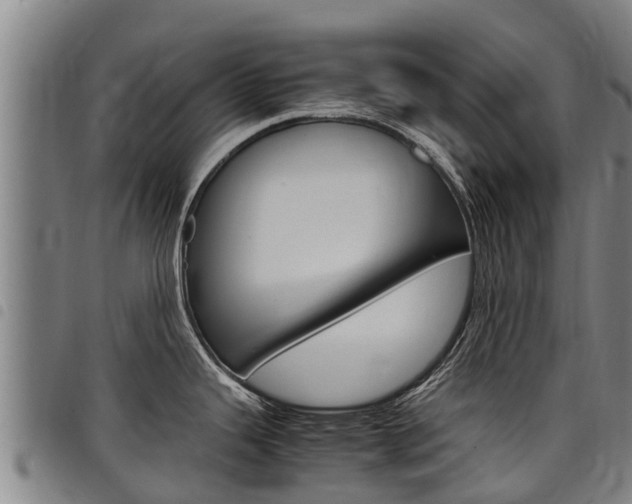 X0000098121343200804040815