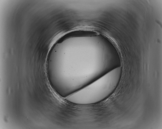 X0000098121344200804040815