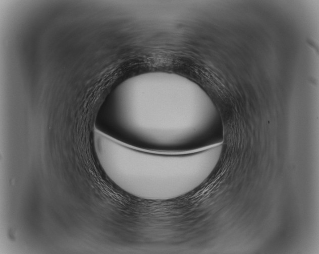 X0000098121345200804040814