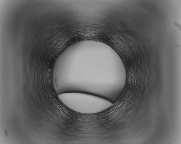 X0000098121346200804040814