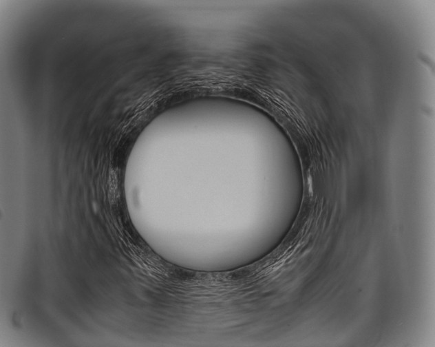 X0000098121347200804040814