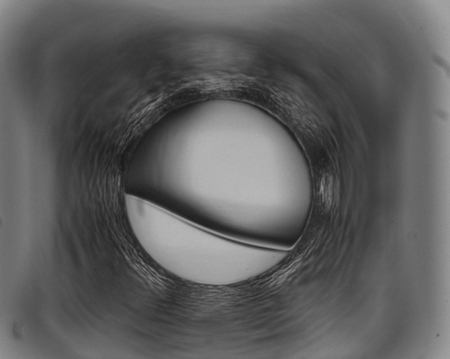 X0000098121348200804040814
