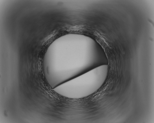X0000098121350200804040814