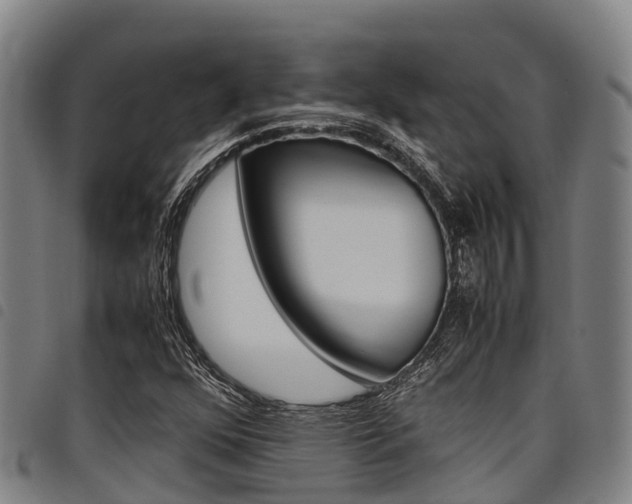X0000098121352200804040814