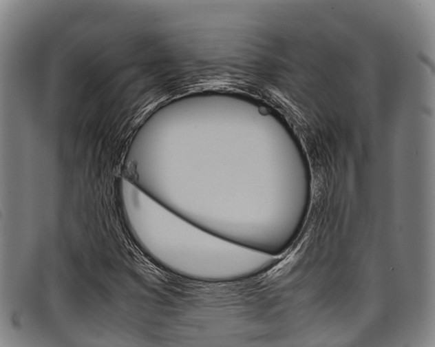 X0000098121353200804040814