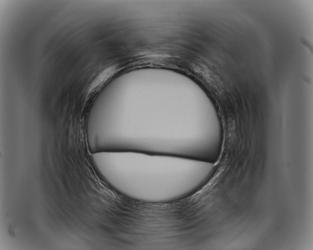 X0000098121354200804040814