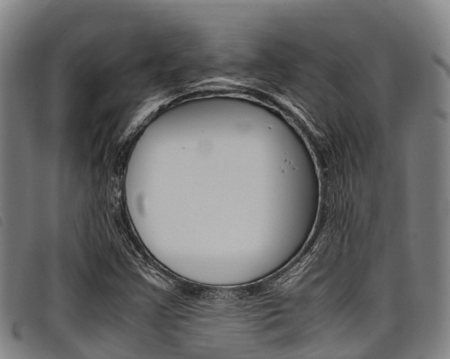 X0000098121355200804040814