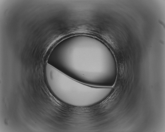 X0000098121356200804040814