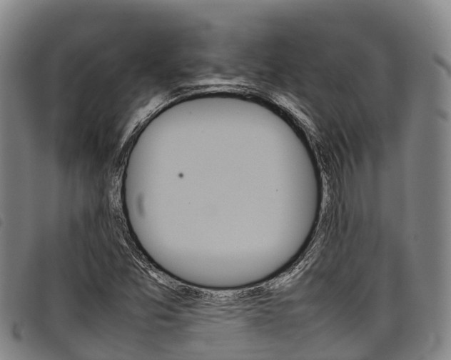 X0000098121357200804040814