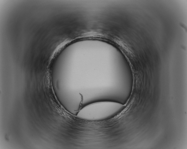 X0000098121358200804040814