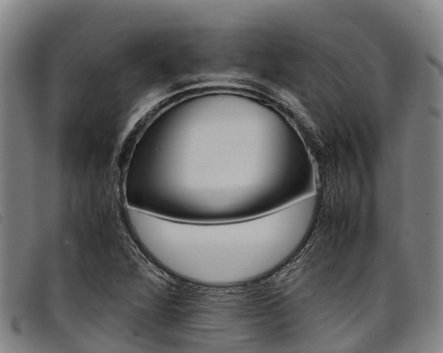 X0000098121360200804040814