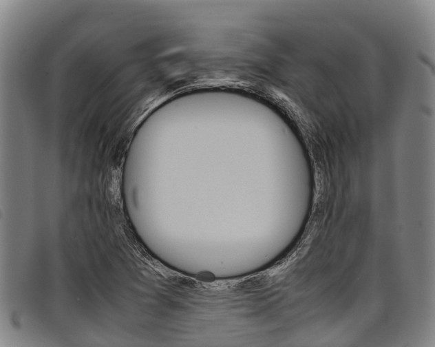 X0000098121361200804040814