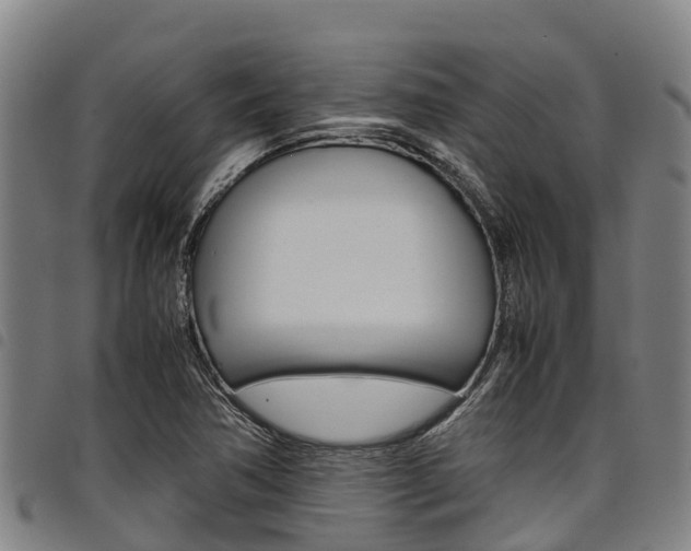 X0000098121362200804040814