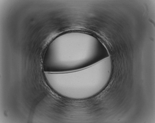 X0000098121363200804040814
