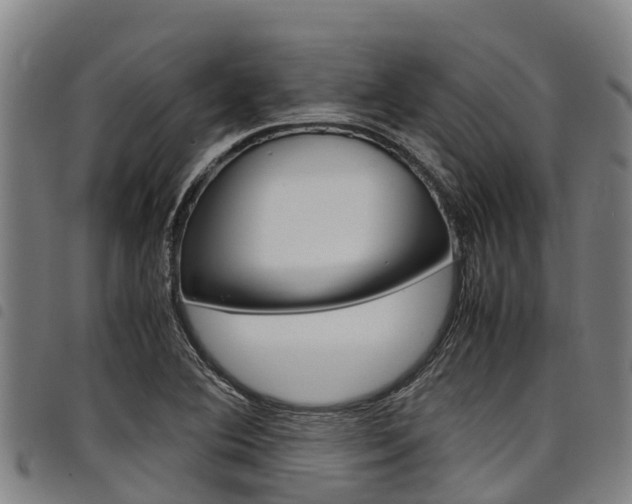 X0000098121364200804040814