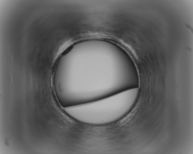 X0000098121365200804040814