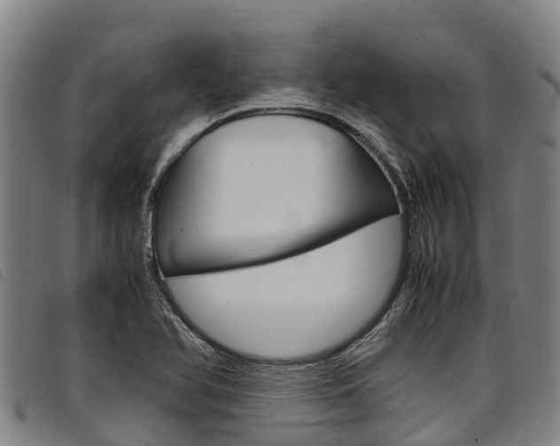 X0000098121366200804040814