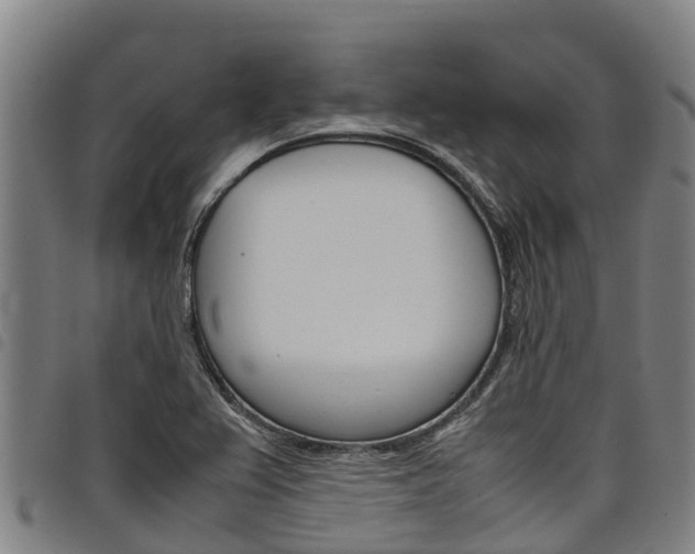 X0000098121367200804040814