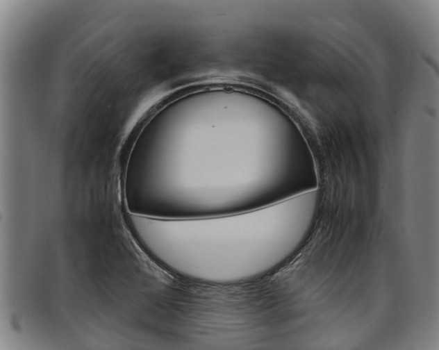 X0000098121368200804040814