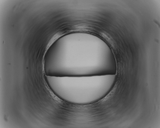 X0000098121370200804040814