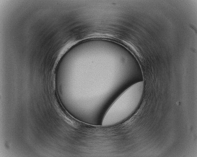 X0000098121371200804040814